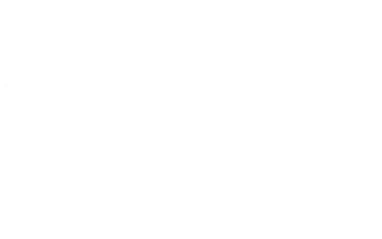 Stylist